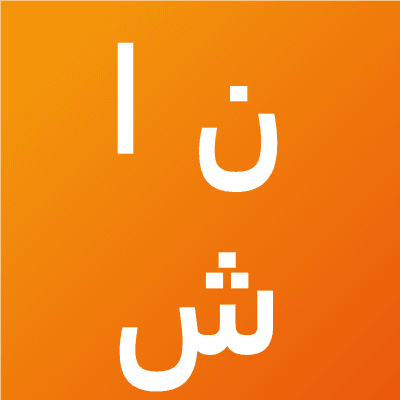 نور الدين شاهين